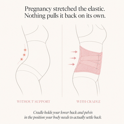 Cradle Postpartum Lumbar Belt